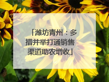 潍坊青州：多措并举打通销售渠道助农增收